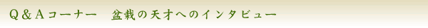 Ｑ＆Ａコーナー　盆栽の天才へのインタビュー